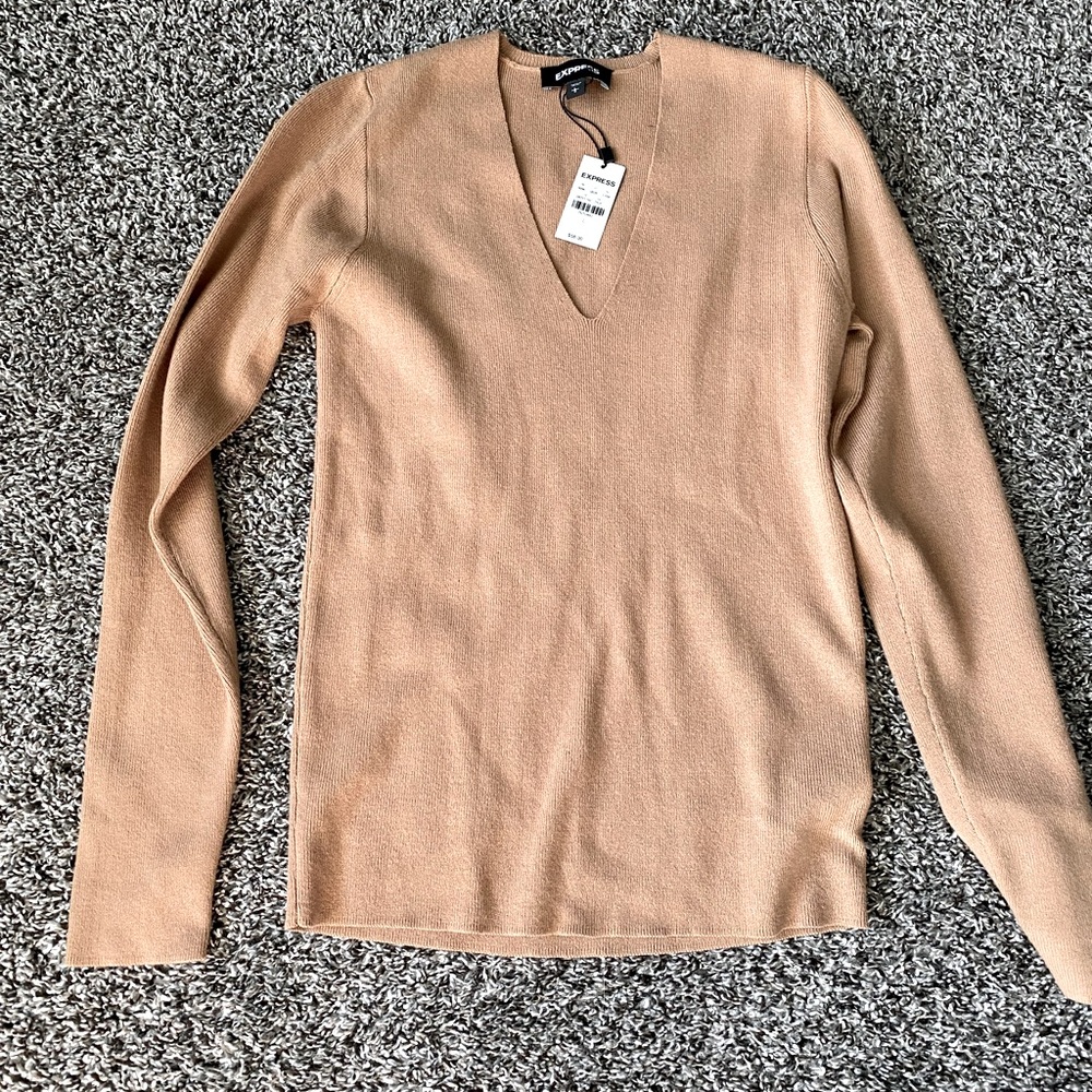 Express Tan V-Neck Sweater